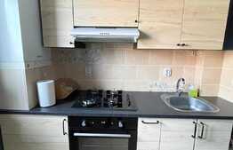 Apartament 2 camere, 60 mp, terasa, parcare, Buna Ziua