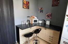 Apartament 2 camere, 60 mp, terasa, parcare, Buna Ziua