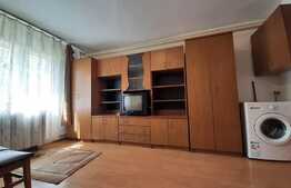 Garsoniera mobilata si utilata, 21 mp, zona Bld. Muncii