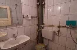 Garsoniera mobilata si utilata, 21 mp, zona Bld. Muncii