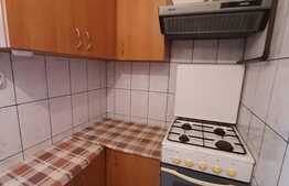 Garsoniera mobilata si utilata, 21 mp, zona Bld. Muncii