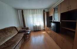 Garsoniera mobilata si utilata, 21 mp, zona Bld. Muncii