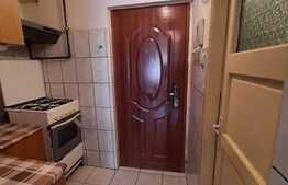 Garsoniera mobilata si utilata, 21 mp, zona Bld. Muncii