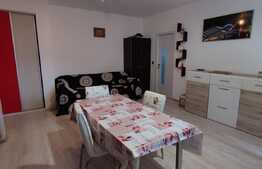 Apartament 2 camere, gradina, parcare, zona Florilor!