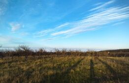 Oportunitate! Teren cu PUZ finalizat, zona Wonderland, 1038 mp si front de 30 ml, pentru casa individuala sau duplex!