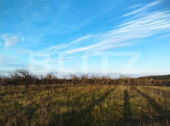 Teren de vânzare Feleacu - 77258TV | BLITZ Cluj-Napoca | Poza2