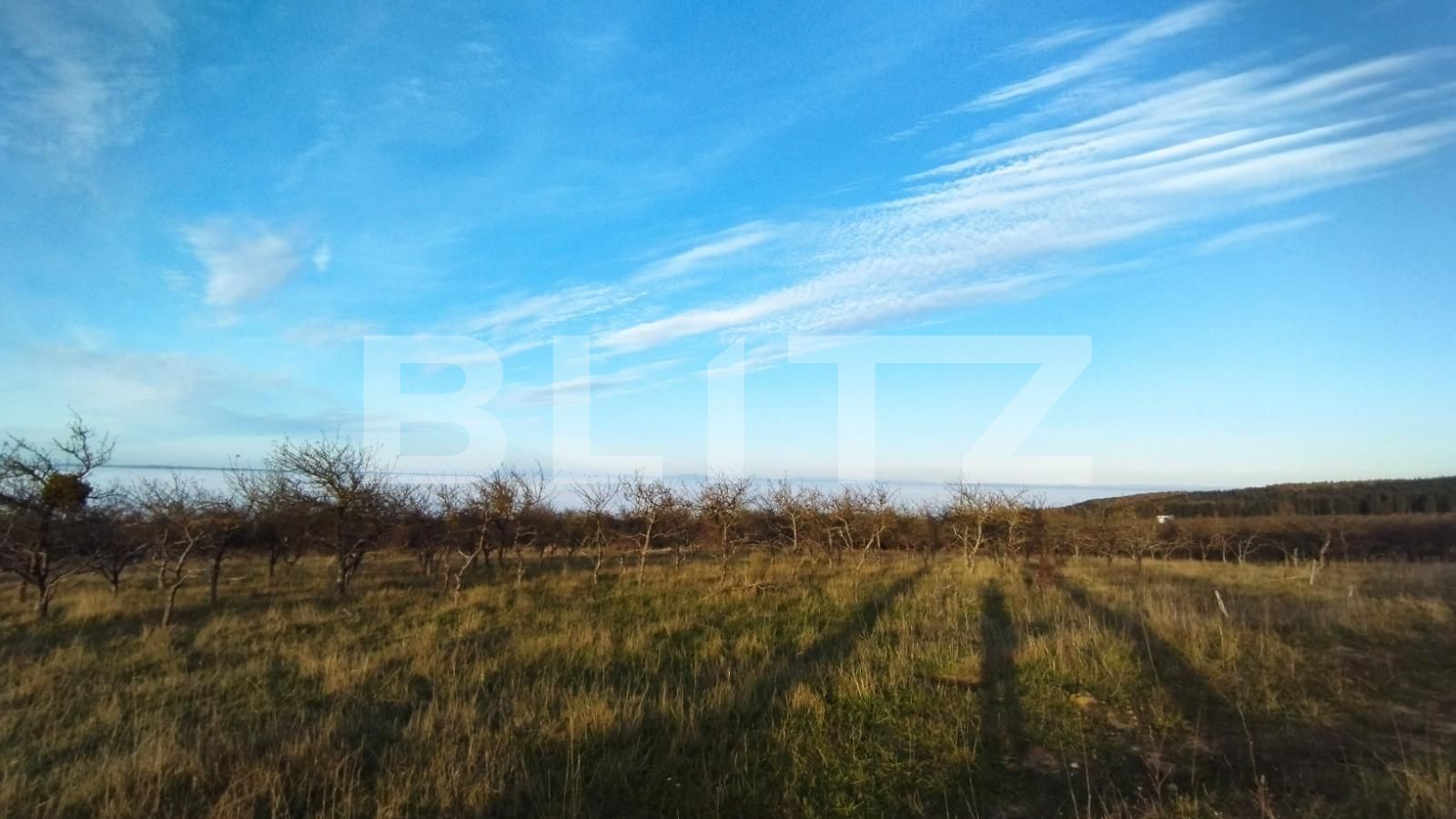 Teren de vânzare Feleacu - 77258TV | BLITZ Cluj-Napoca | Poza2