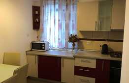 Apartament 2 camere, decomandat, pet friendly, 55 mp, zona P-ta Mihai Viteazu