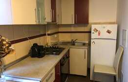 Apartament 2 camere, decomandat, pet friendly, 55 mp, zona P-ta Mihai Viteazu