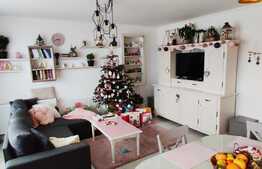 Apartament 3 camere, etaj intermediar, mobilat si utilat premium zona Terra