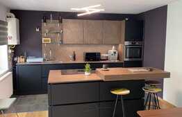 Exclusiv! Casa tip triplex,cu trei apartamente, 321 mp utili, zona Intre Lacuri!