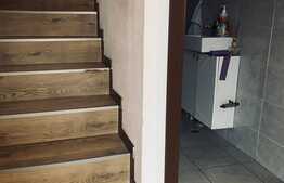 Exclusiv! Casa tip triplex,cu trei apartamente, 321 mp utili, zona Intre Lacuri!