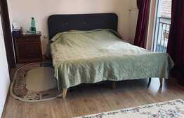 Exclusiv! Casa tip triplex,cu trei apartamente, 321 mp utili, zona Intre Lacuri!