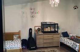 Exclusiv! Casa tip triplex,cu trei apartamente, 321 mp utili, zona Intre Lacuri!