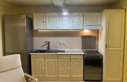 Apartament de 2 camere, 37 mp, curte, parcare, pet friendly zona strazii Edgar Quinet