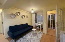 Apartament de 2 camere, 37 mp, curte, parcare, pet friendly zona strazii Edgar Quinet