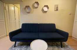 Apartament de 2 camere, 37 mp, curte, parcare, pet friendly zona strazii Edgar Quinet