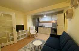 Apartament de 2 camere, 37 mp, curte, parcare, pet friendly zona strazii Edgar Quinet