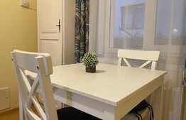 Apartament de 2 camere, 37 mp, curte, parcare, pet friendly zona strazii Edgar Quinet