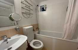 Apartament de 2 camere, 37 mp, curte, parcare, pet friendly zona strazii Edgar Quinet