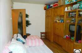 Apartament de vanzare cu 1 camera, 25 mp utili, zona Garii!