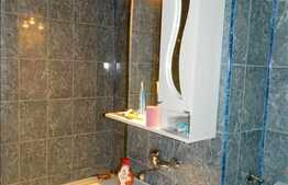 Apartament de vanzare cu 1 camera, 25 mp utili, zona Garii!