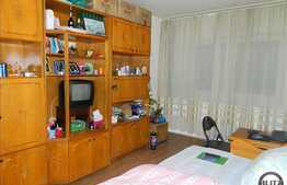 Apartament de vanzare cu 1 camera, 25 mp utili, zona Garii!