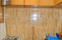 Apartament de vanzare cu 1 camera, 25 mp utili, zona Garii!