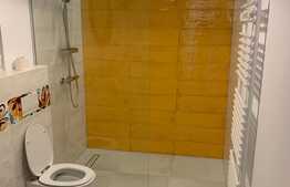 Apartament 2 camere, totul nou, prima inchiriere, zona Centrala