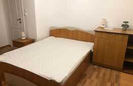 Garsoniera de 25 mp, centrala termica, zona Big Manastur