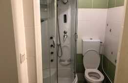 Garsoniera de 25 mp, centrala termica, zona Big Manastur