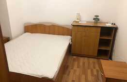 Garsoniera de 25 mp, centrala termica, zona Big Manastur