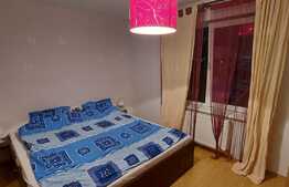 Apartament de 2 camere, balcon, zona Urusagului!