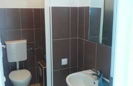 Spatiu comercial/birouri, 123 mp, zona Piata Marasti