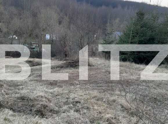 Casa de vânzare 1 camera Feleacu - 77493CV | BLITZ Cluj-Napoca | Poza2