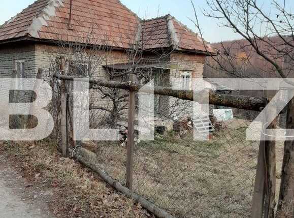 Casa de vânzare 1 camera Feleacu - 77493CV | BLITZ Cluj-Napoca | Poza1