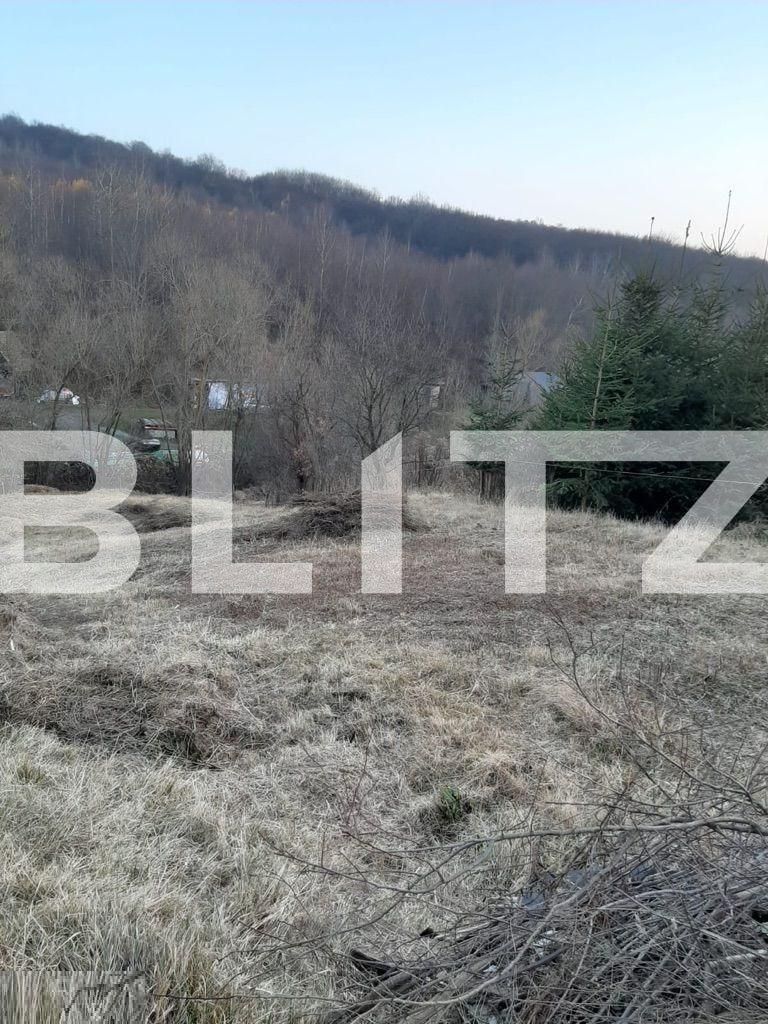 Casa de vânzare 1 camera Feleacu - 77493CV | BLITZ Cluj-Napoca | Poza2