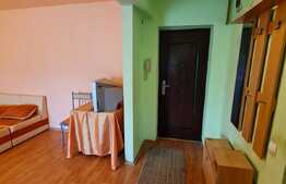 Garsoniera de 36 mp utili, zona Gheorghe Doja! Pret atractiv! 