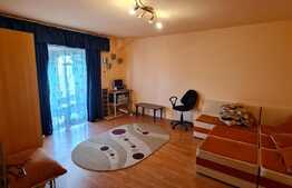 Garsoniera de 36 mp utili, zona Gheorghe Doja! Pret atractiv! 