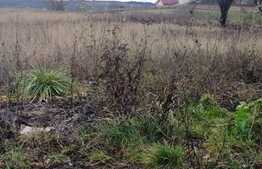 Teren intravilan in zona Calea Turzii 26700 mp, cu destinatie constructie blocuri