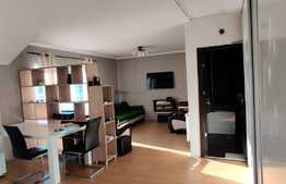 Apartament de 2 camere luminos plus pod