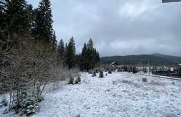 Vila cu potential de transformare in pensiune, 13 camere, Timisul de Sus, 1487 mp teren, Brasov