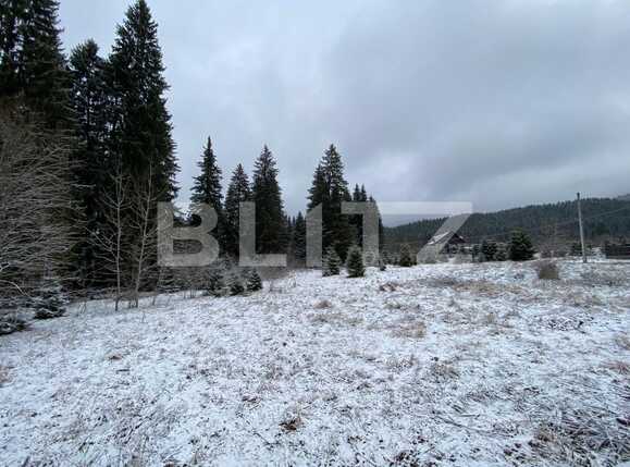 Casa de vânzare 13 camere Sud-Est - 77572CV | BLITZ Brașov | Poza3