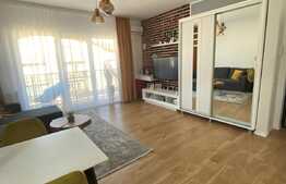 Apartament modern de 2 camere, zona strazii Teilor