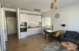 Apartament modern de 2 camere, zona strazii Teilor