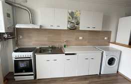 Apartament de 2 camere, 42 mp, zona Teilor, parcare