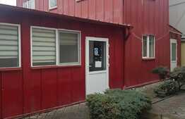 Casa individuala cu hala productie, zona Iris