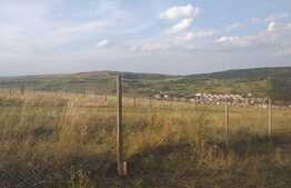 Teren extravilan 500 mp zona livada Steluta 