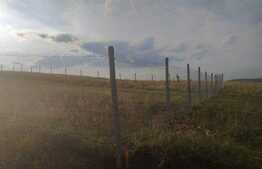 Teren extravilan 500 mp zona livada Steluta 