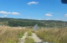 Teren extravilan 500 mp zona livada Steluta 